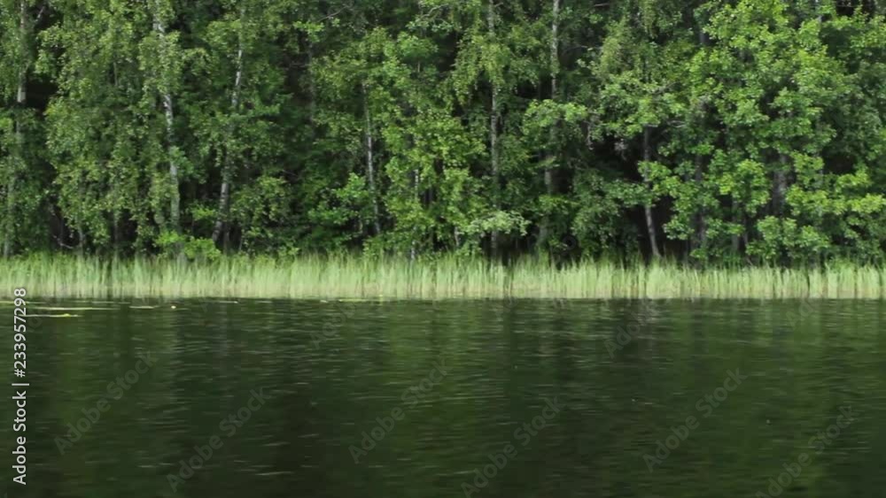 Green forest lake in Sweden. Edge of the water centered, panning camera movement. Green forest lake in Sweden. Edge of the water centered, panning camera movement.