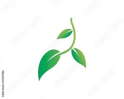 Fototapeta Naklejka Na Ścianę i Meble -  Logos of green leaf ecology nature element vector