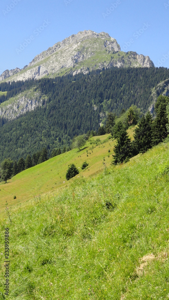 Sur les Hauteurs du Val d'Abondance, dans les Alpes (Rhône-Alpes, Haute-Savoie, France)
