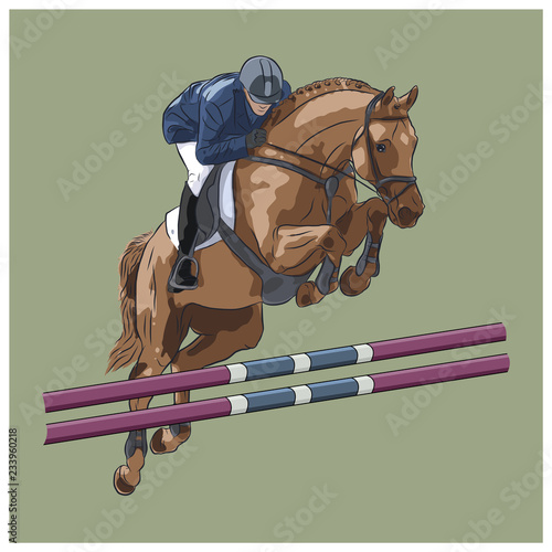 Equestrian, show jumping. A vector illustration of a rider and horse jumping over an obstacle.	