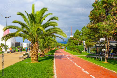 Beautiful view to Bicycle path for traffic along the embankment of the new Boulevard of Batumi near the singing fountains of Batumi. Park with palm trees near promenade of Batumi black sea. Georgia