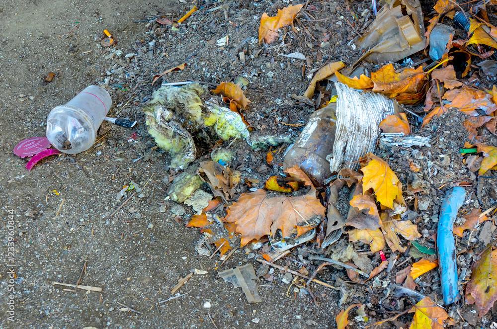 Obraz premium Strassenmüll