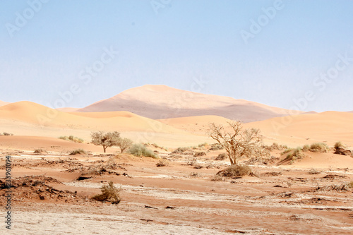 Dünen und Gehölz im Sossuvlei, Namibia