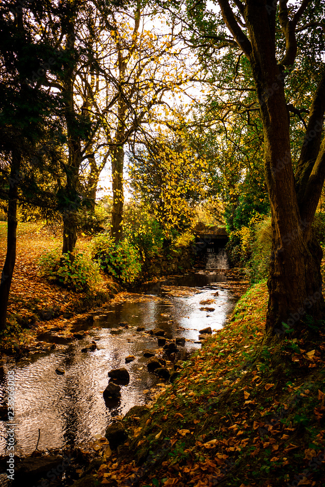 Small stream, flowing past beautiful autumnal trees of red, orange and yellow. Taken in Buxton Park, UK in fall. Small stream, flowing past beautiful autumnal trees of red, orange and yellow. Taken in Buxton Park, UK in fall.