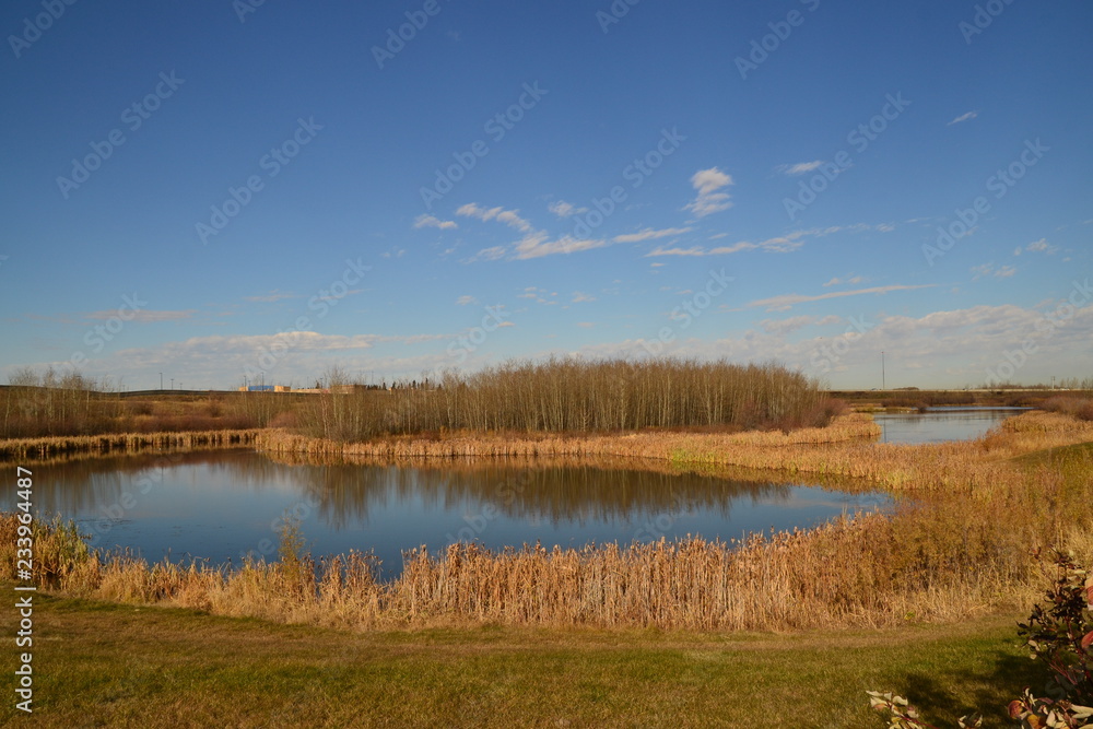 Landscape with Pond and Blue Sky