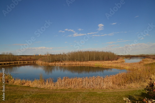 Landscape with Pond and Blue Sky