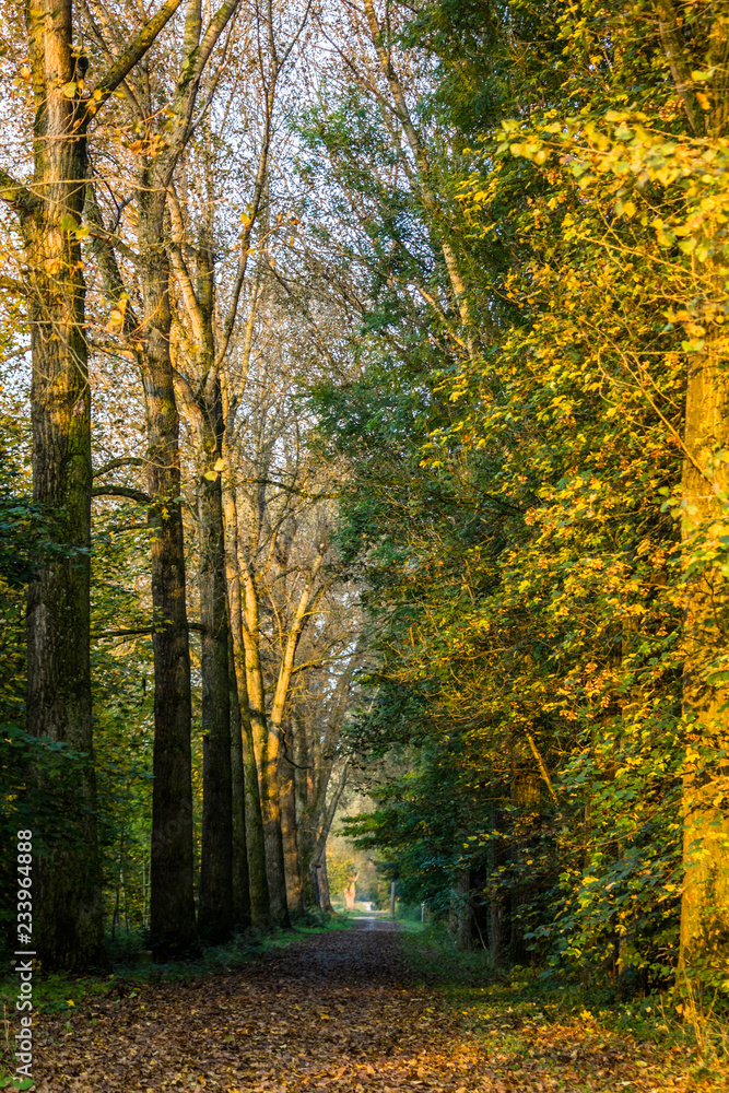 Fototapeta premium Beautiful view near landau-Isar-Bavaria-Germany