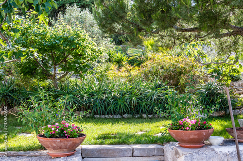 Peaceful life in a mediterranean garden in southern Italy