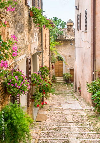 Fototapeta Naklejka Na Ścianę i Meble -  Picturesque sight in Trevi, ancient village in the Umbria region of Italy.