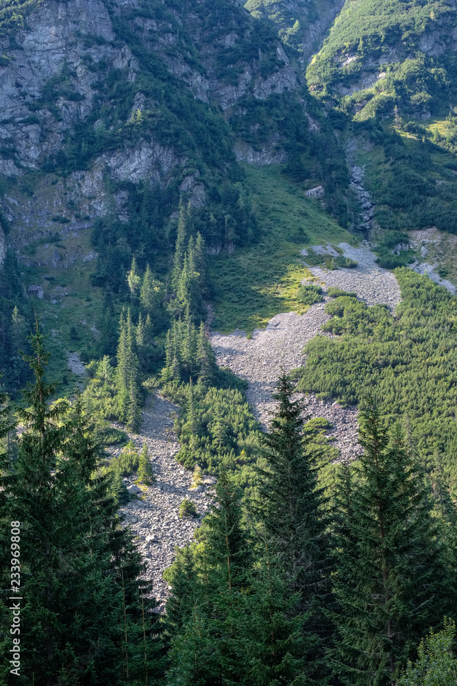 western carpathian mountain panorama in clear day western carpathian mountain panorama in clear day