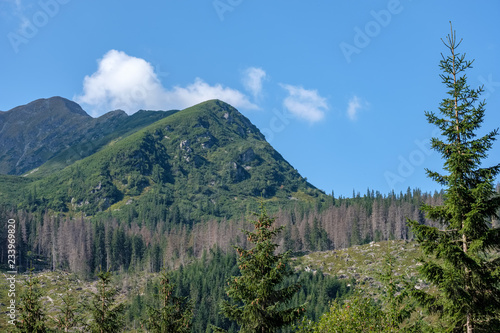 western carpathian mountain panorama in clear day