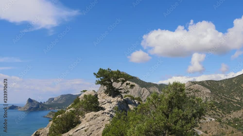 Pine growing on the cleaved. Mountains against the blue sky with white clouds. Cirrus clouds run across the blue sky. The best views of the coast. Beautiful view of the sea. best video of the Pine growing on the cleaved. Mountains against the blue sky with white clouds. Cirrus clouds run across the blue sky. The best views of the coast. Beautiful view of the sea. best video of the