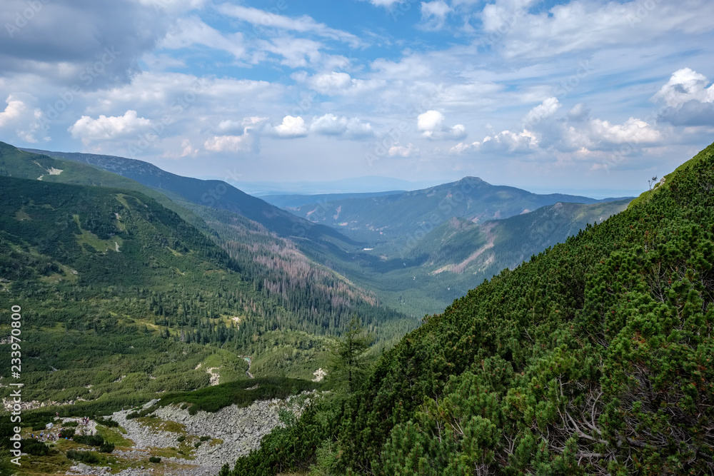 Naklejka premium western carpathian mountain panorama in clear day