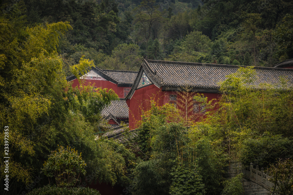 Chinese Buddhist temple roofs converging against green foliage and trees