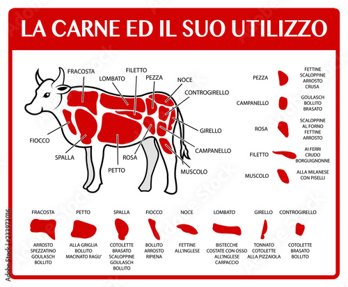 CARNE E SUO UTILIZZO