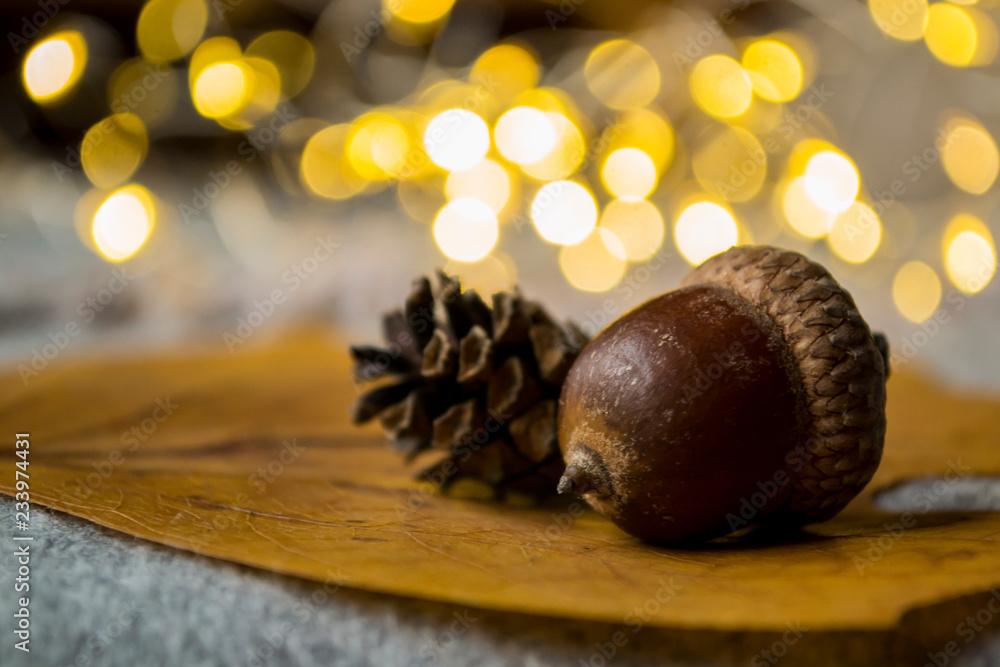 Cone and acorn as a decoration, close up against a bokeh background.