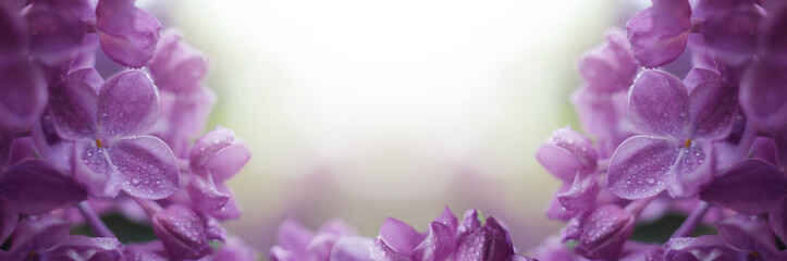 Fantasy Floral border with beautiful purple lilac blooming in the sunny day. Romantic banner with flowers against bokeh background