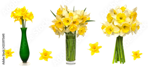 Fototapeta Naklejka Na Ścianę i Meble -  Beautiful Set of yellow narcissus flowers isolated on white background