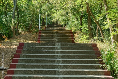 gray steps of a concrete staircase in a park among trees and green grass