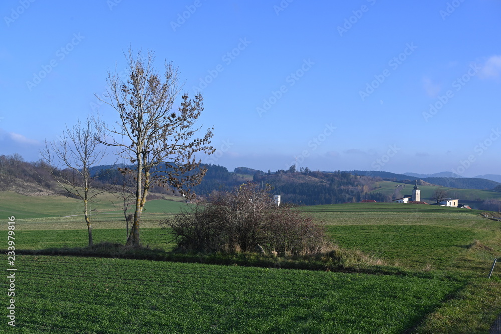 Niederösterreich, Herbst im Waldviertel Niederösterreich, Herbst im Waldviertel