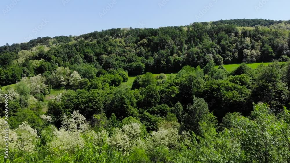 Aerial drone shot over the east european hill forest. Lush green trees and blue sky during Summer. Shot in 4K (UHD). Aerial drone shot over the east european hill forest. Lush green trees and blue sky during Summer. Shot in 4K (UHD).