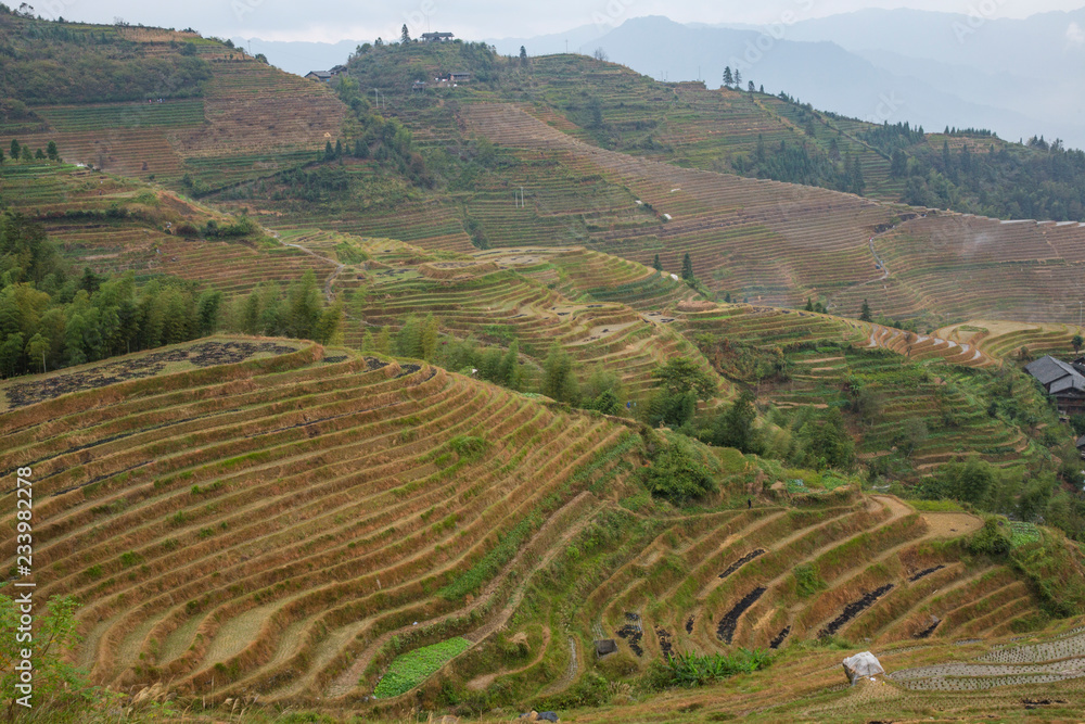 The Terraced fields of China