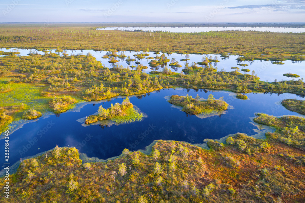 Bird's eye photo of a swamp