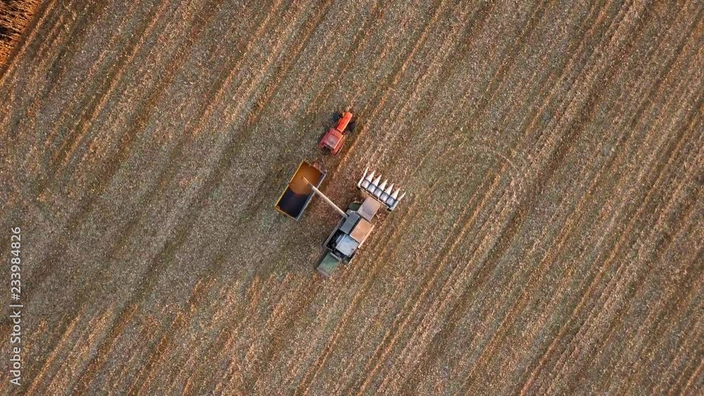 4k aerial with combine picks the grain onto the traileron on field in golden sunset light. Beautiful rural scene. 3840x2160, 30fps. 4k aerial with combine picks the grain onto the traileron on field in golden sunset light. Beautiful rural scene. 3840x2160, 30fps.