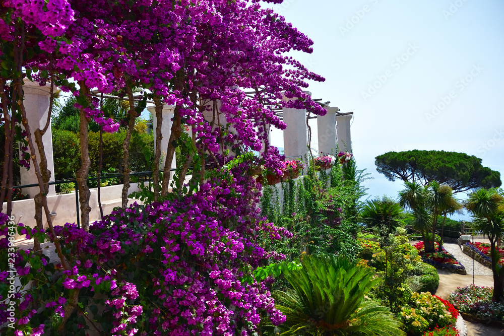 Naklejka premium Villa Rufolo ogród