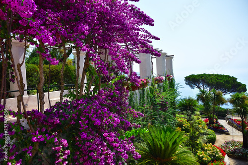 Villa Rufolo ogród