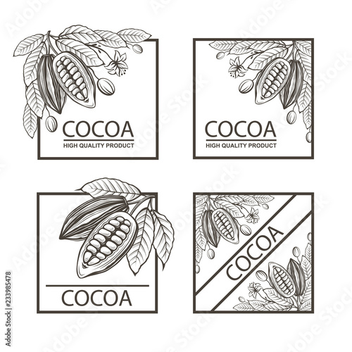 collection of frames with cocoa beans, branch and leaves