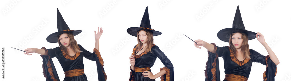 Witch isolated on the white background Witch isolated on the white background