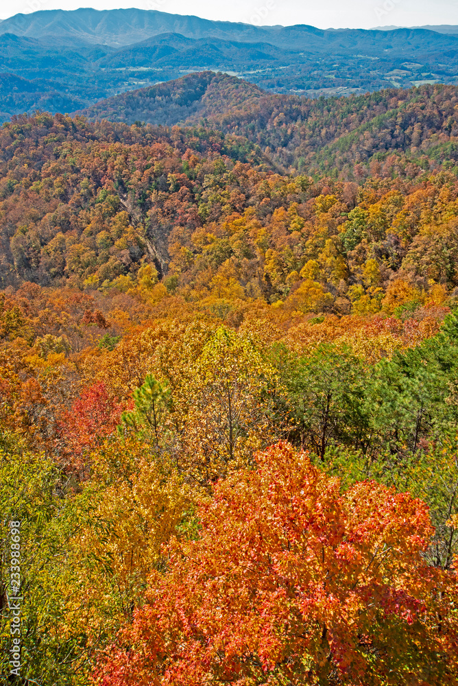 Fall colors in the Great Smoky Mountains National Park.