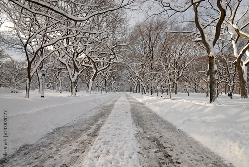 Central Park Manhattan, New York in the snow