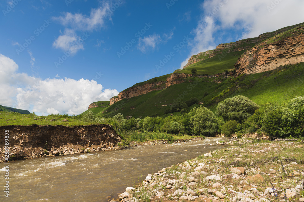Summer landscape a dirty mountain river with a stone shore against the background of green grass and trees, and also mountain rocky protrusions of the plateau