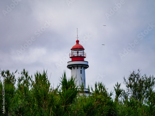 Image of red and white lighthouse during day time