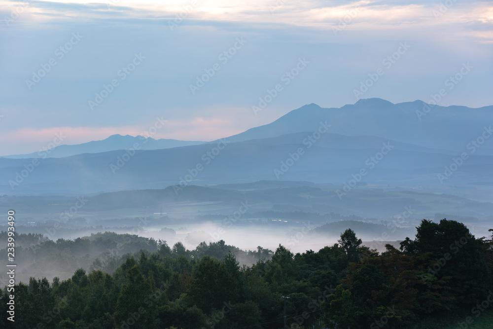 北海道美瑛の風景