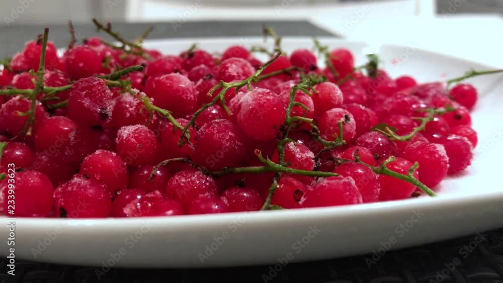frozen red currants close up. frozen red currants close up.