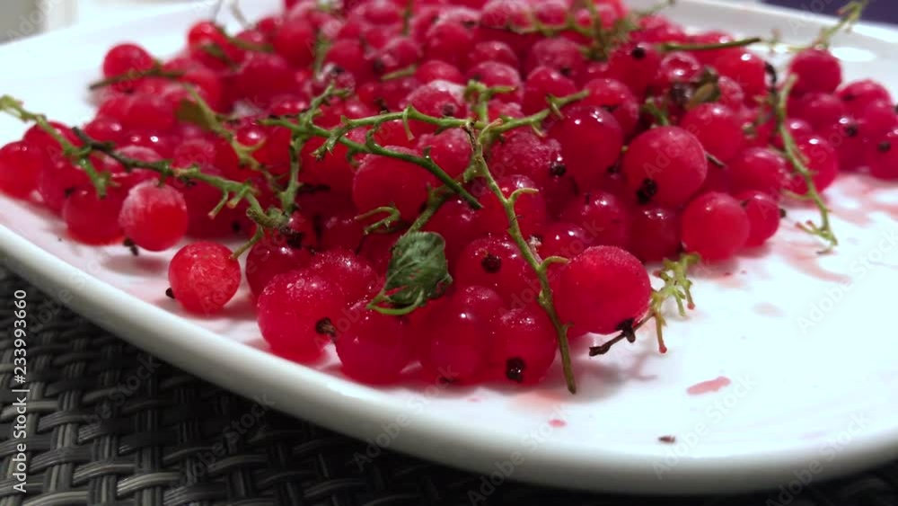 frozen red currants close up. frozen red currants close up.