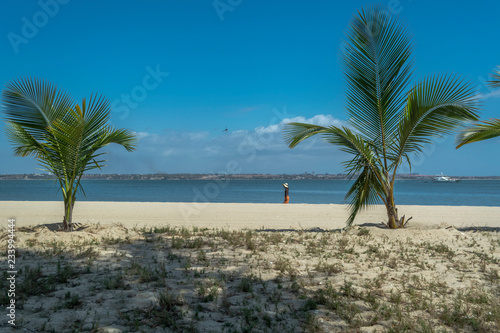 View of palm trees on beach, and boats on water, on the island of Mussulo, Luanda, Angola © Miguel Almeida