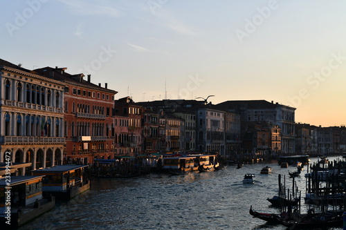Venice in the evening. Grand Canal, parades and gondolas