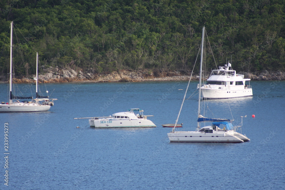 Yachts in the bay