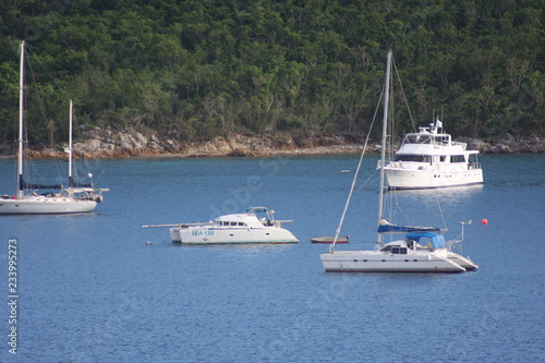 Yachts in the bay © LaDonna