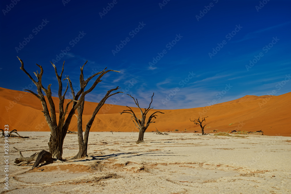 Deadvlei, Namibia, dead trees