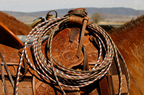 Detail of Saddle Tooling and Lariats