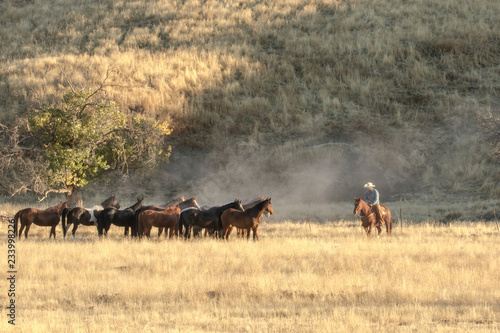 Cowboys and Cowgirls of California © Nicki