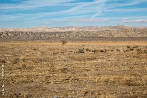 The Carrizo Plain is the largest enclosed grassland plain in Kern County, California and has been designated a national monument