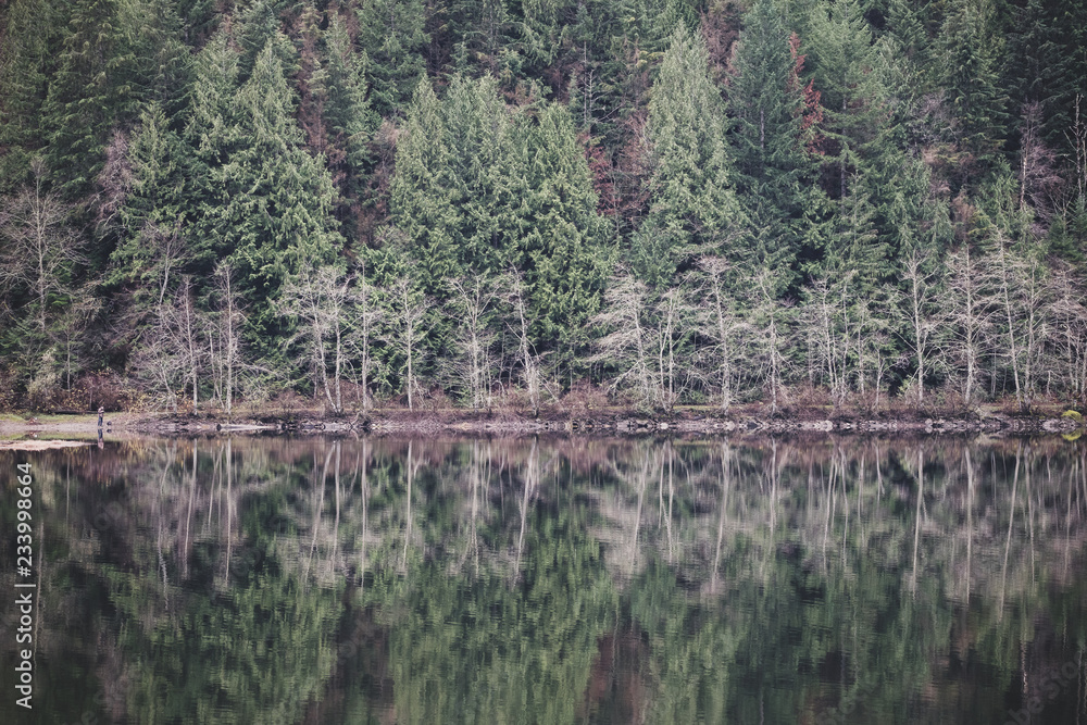 A Beautiful Forest Reflecting in a Lake Landscape A Beautiful Forest Reflecting in a Lake Landscape