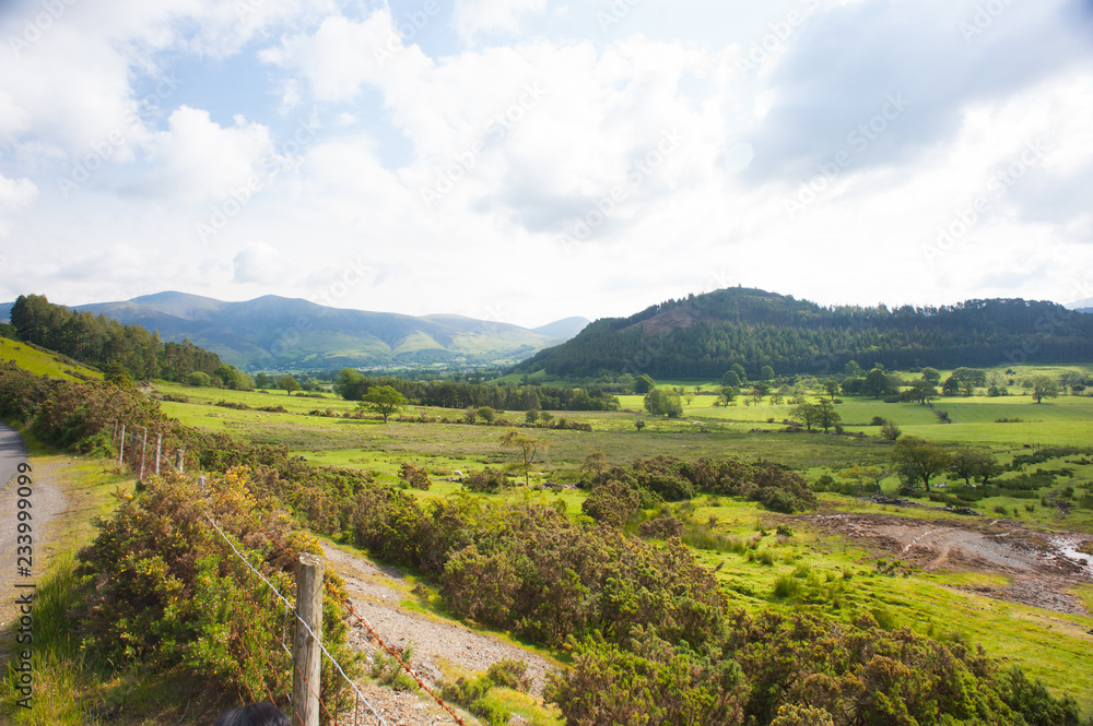 Naklejka premium View into the dell at lake district, england 