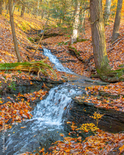 Lick Brook Preserve